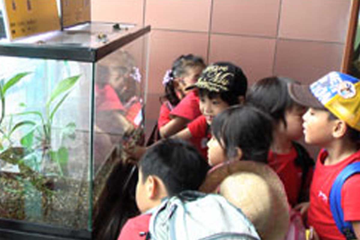 Alive キッズロボットプログラミング教室